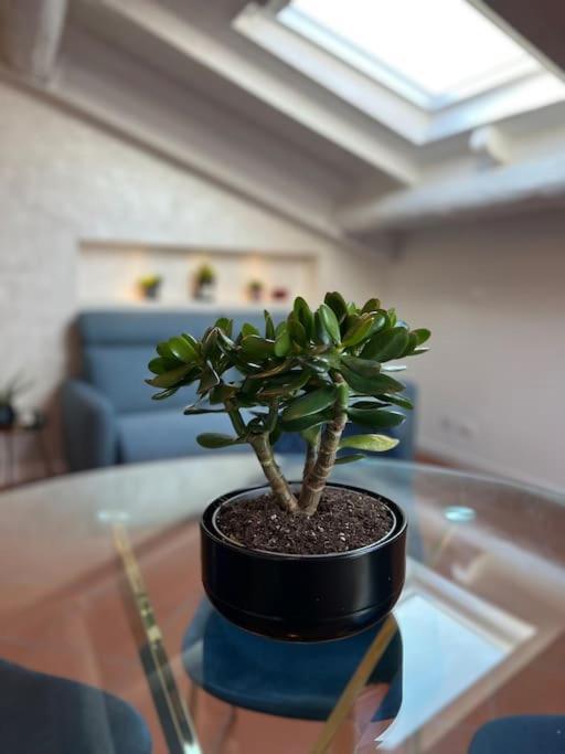 Apartmán Residenza Corridoni 38 Mantova Exteriér fotografie